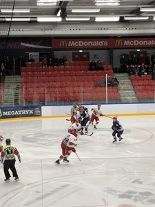 Ishockey (16)